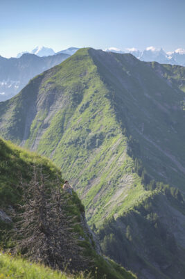 Kalle_morzine