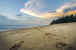 Thailand_1